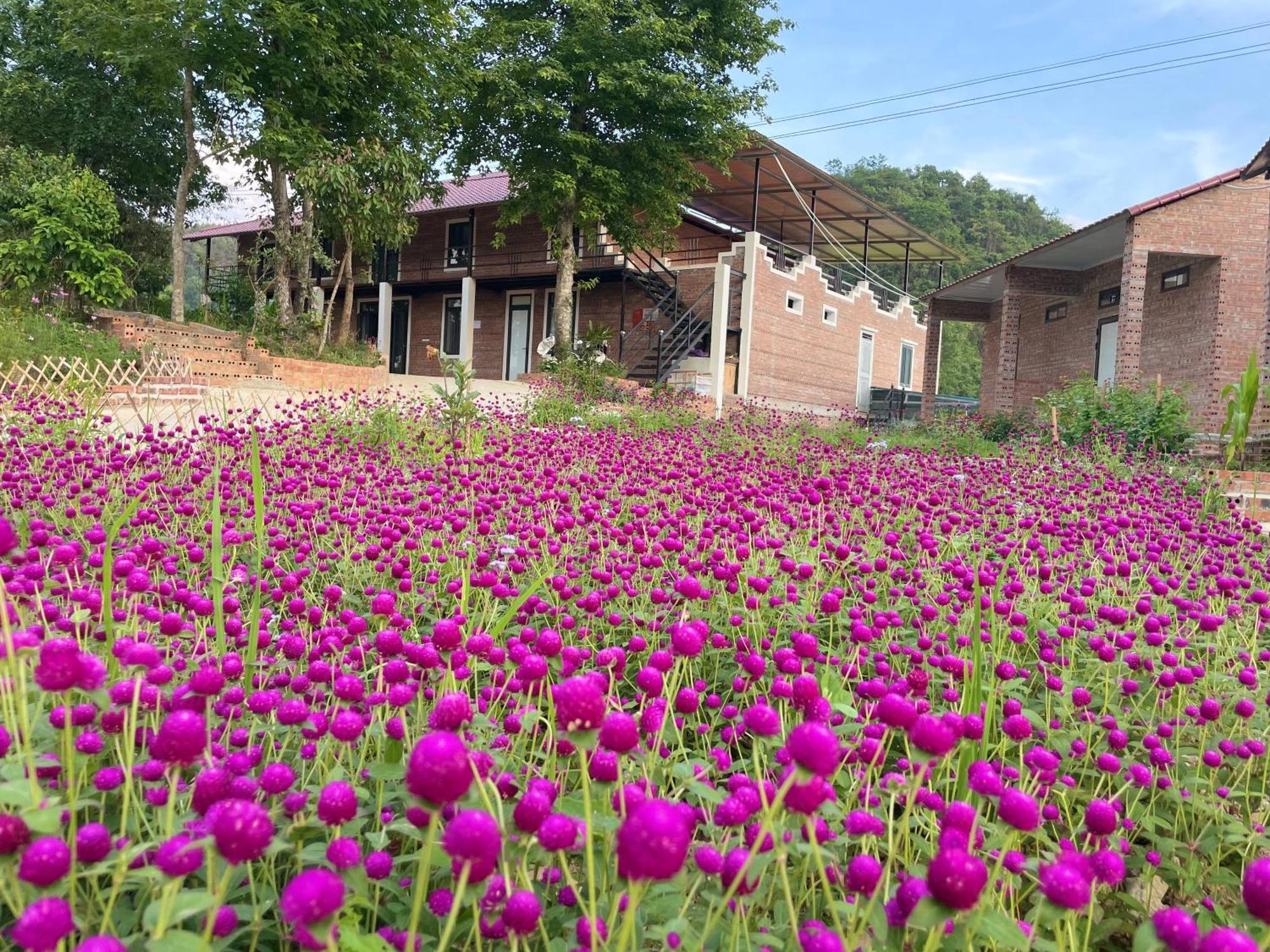 Riverside Homestay Cao Bang Buitenkant foto